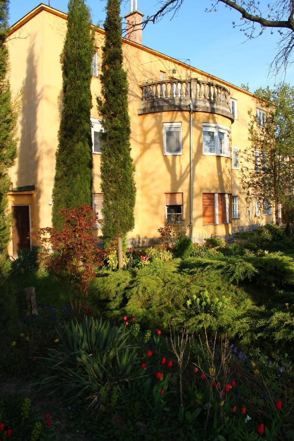 Blue Bird Citadel Apartment Budapešť Exteriér fotografie